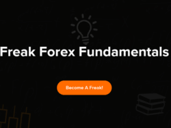 freak-forex-fundamentals